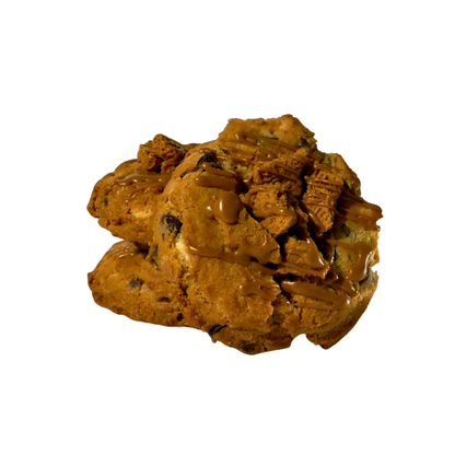 Galleta Lotus