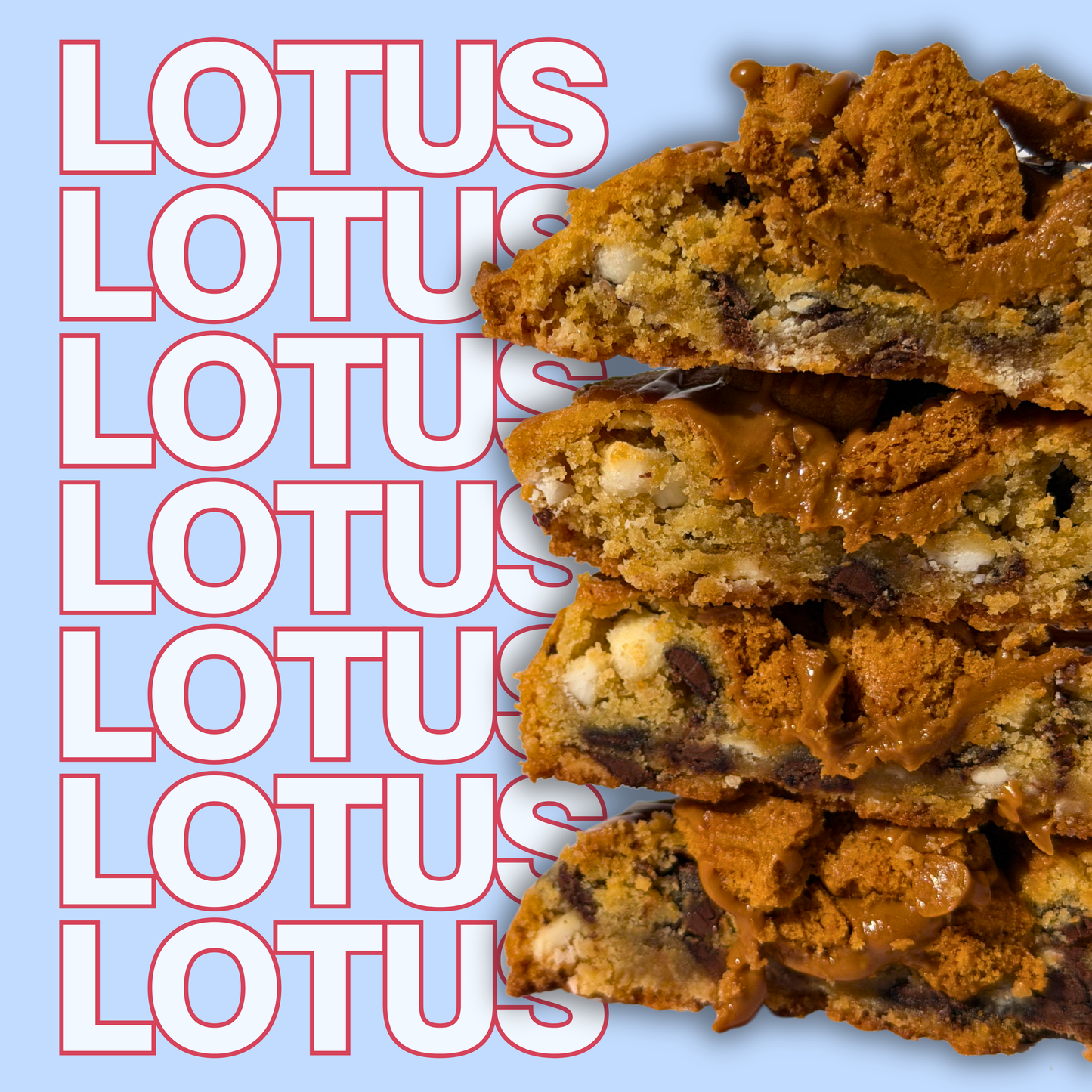 GALLTA LOTUS ANIVERSARIO